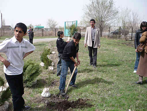 Bushplanting in Armenia